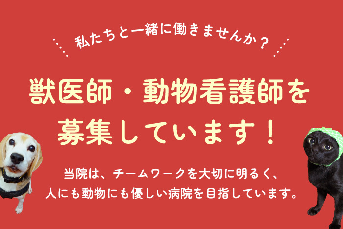 獣医師・動物看護師を募集しています!