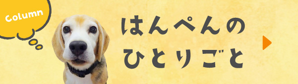 はんぺんのひとりごと