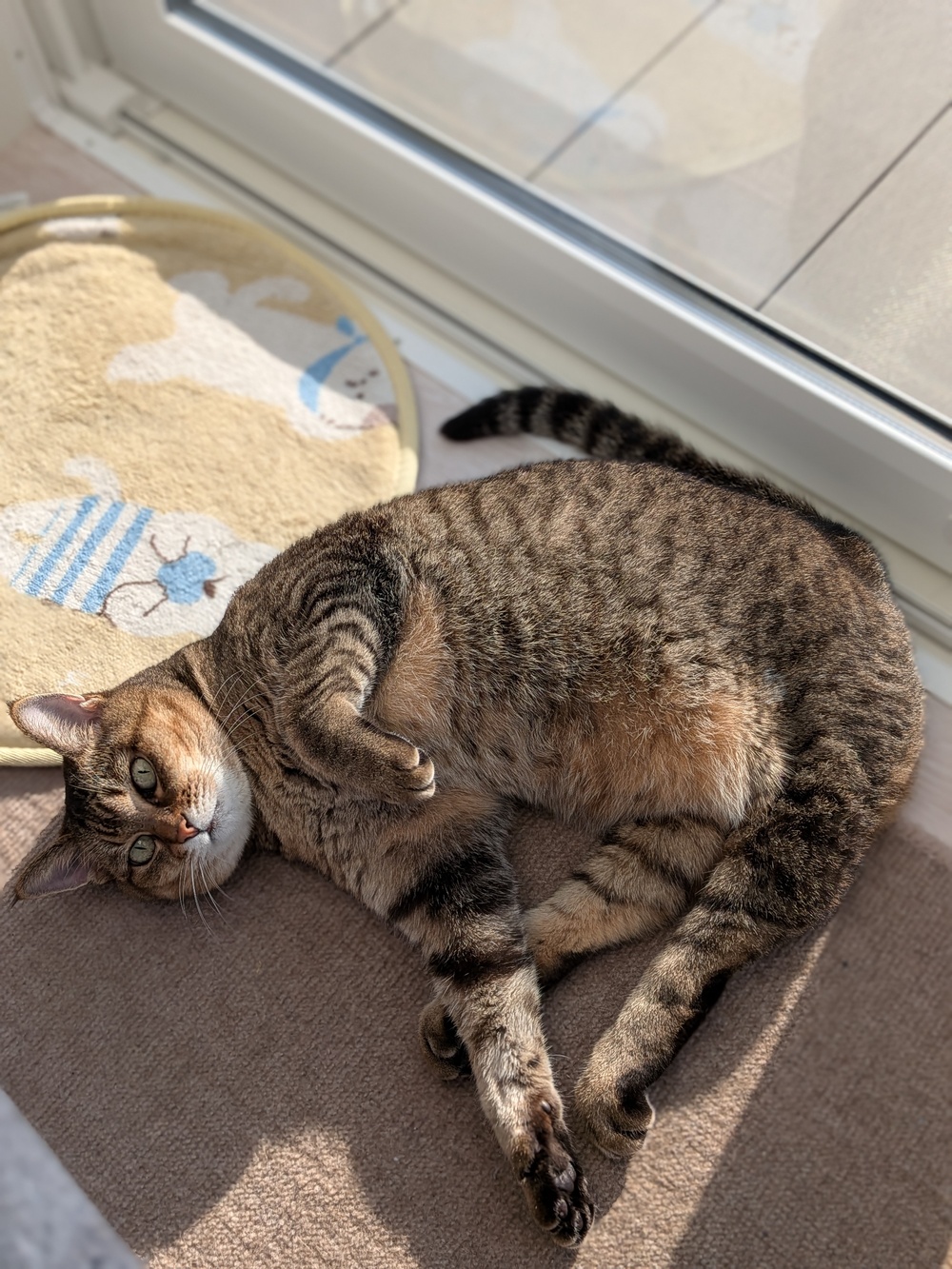 PXL_20251019_232702026.PORTRAIT