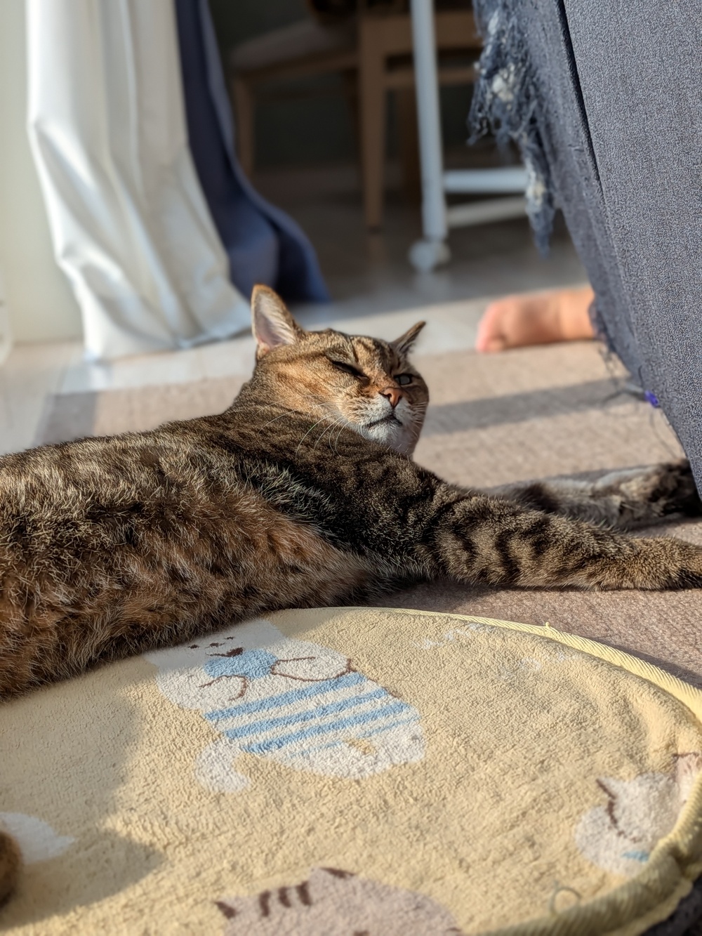 PXL_20251019_232920874.PORTRAIT