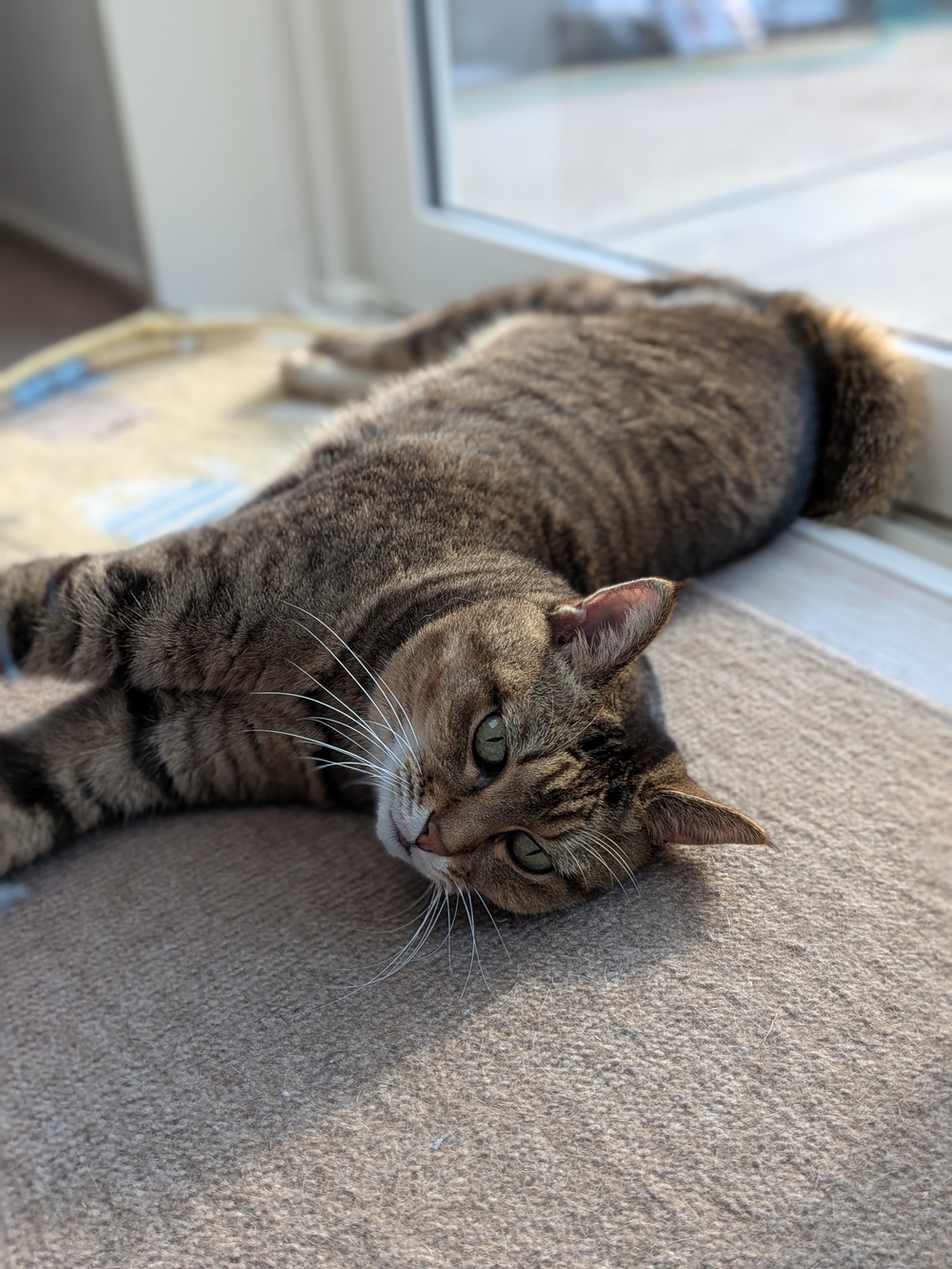 PXL_20251019_232723995.PORTRAIT