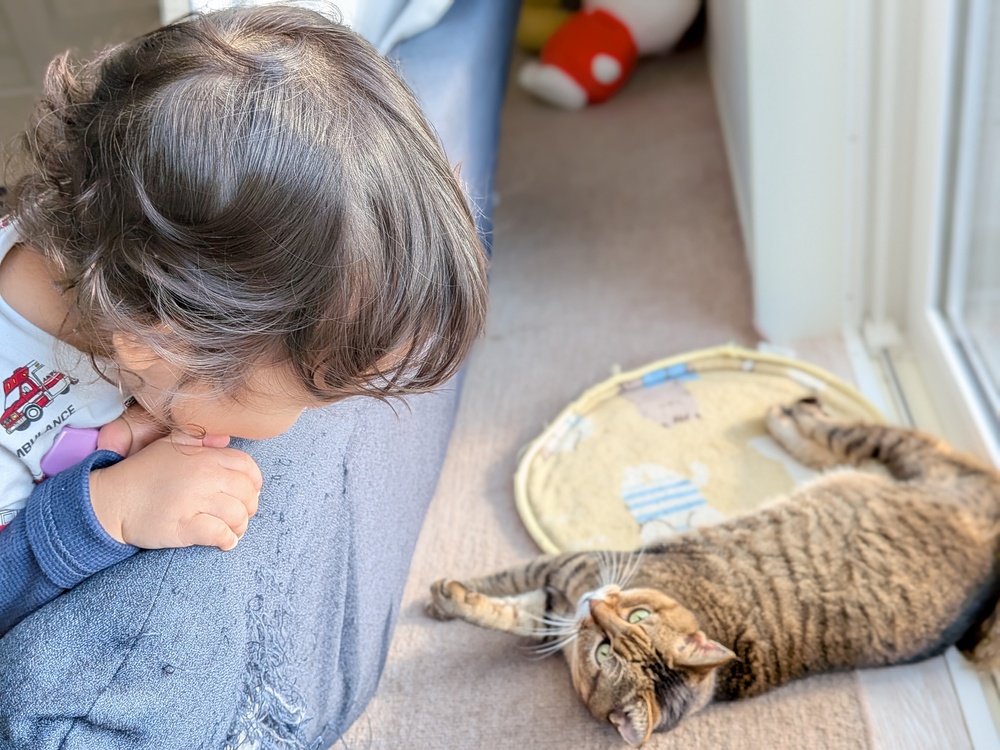 PXL_20251019_232742142.PORTRAIT