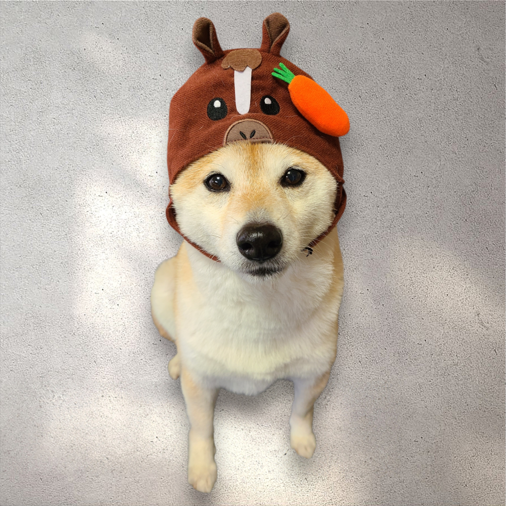 20251227_122950(0) (1)