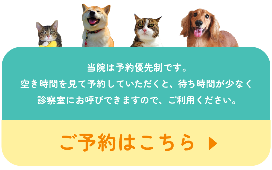 web予約はこちらから